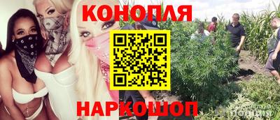 гидропоника Ливны